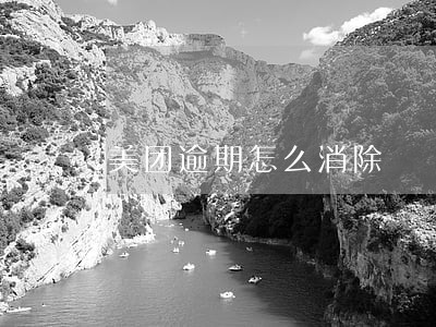 美团逾期怎么消除 美团逾期怎么消除