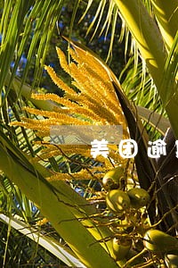 美团逾期怎么答辩 美团逾期怎么答辩