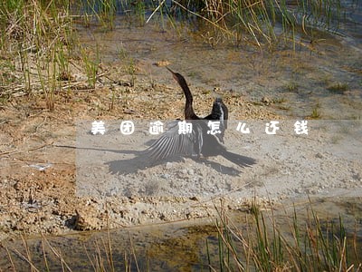 美团逾期怎么还钱 美团逾期怎么还钱