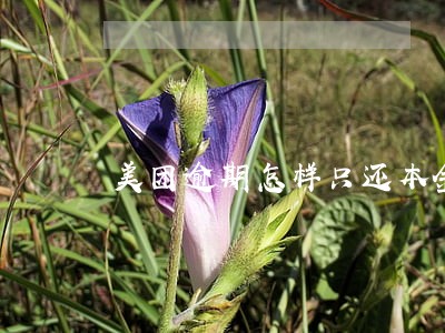 美团逾期怎样只还本金