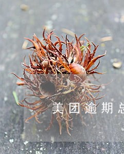 美团逾期总打电话到村里怎么办 美团逾期总打电话到村里怎么办