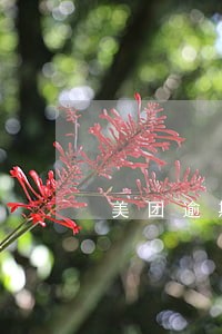 美团逾期恐吓短信 美团逾期恐吓短信