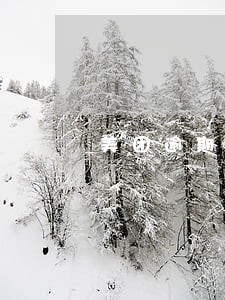 美团逾期恶意发短信 美团逾期恶意发短信
