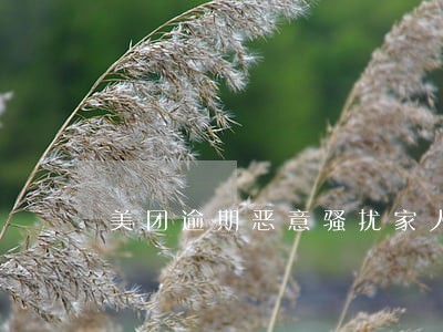 美团逾期恶意骚扰家人 美团逾期恶意骚扰家人