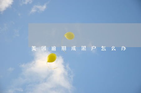 美团逾期成黑户怎么办 美团逾期成黑户怎么办