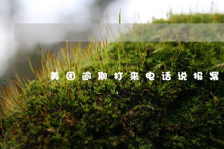 美团逾期打来电话说报案处理 美团逾期打来电话说报案处理