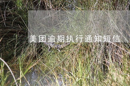 美团逾期执行通知短信 美团逾期执行通知短信