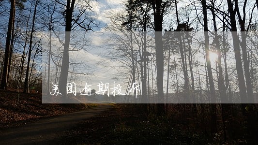 美团逾期投诉 美团逾期投诉