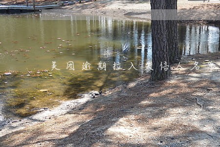 美团逾期拉入失信人名单 美团逾期拉入失信人名单