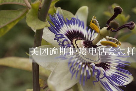 美团逾期拒接电话会怎样 美团逾期拒接电话会怎样