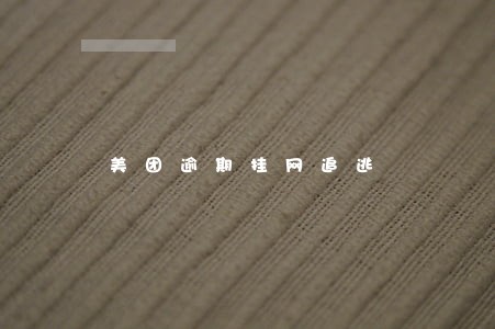 美团逾期挂网追逃 美团逾期挂网追逃