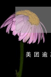 美团逾期挂账 美团逾期挂账