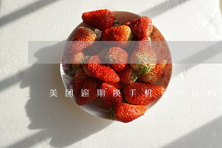 美团逾期换手机号可以吗 美团逾期换手机号可以吗