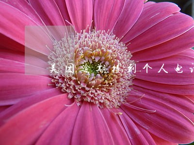 美团逾期接到个人电话 美团逾期接到个人电话