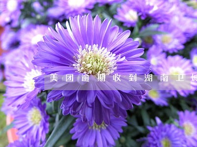 美团逾期收到湖南卫城短信 美团逾期收到湖南卫城短信