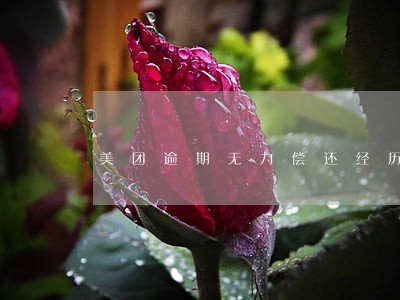 美团逾期无力偿还经历