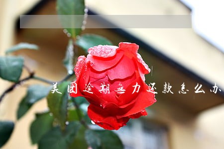 美团逾期无力还款怎么办 美团逾期无力还款怎么办