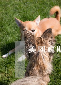 美团逾期时说要去派出所备案 美团逾期时说要去派出所备案