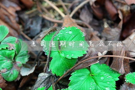 美团逾期时间怎么不改 美团逾期时间怎么不改