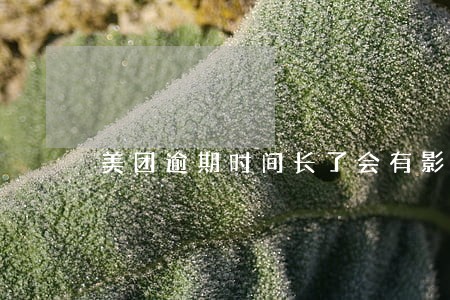 美团逾期时间长了会有影响吗 美团逾期时间长了会有影响吗