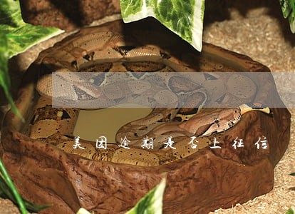 美团逾期是否上征信 美团逾期是否上征信