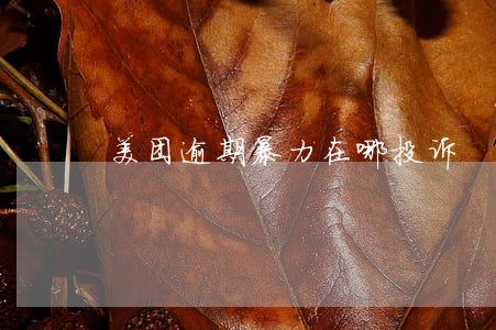 美团逾期暴力在哪投诉 美团逾期暴力在哪投诉