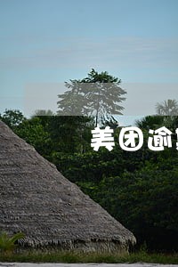美团逾期最多多少钱 美团逾期最多多少钱