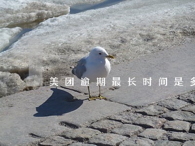 美团逾期最长时间是多久 美团逾期最长时间是多久