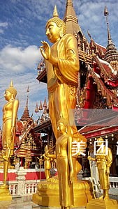 美团逾期有上法庭的么 美团逾期有上法庭的么