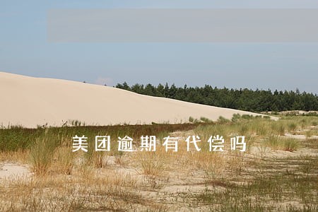 美团逾期有代偿吗 美团逾期有代偿吗