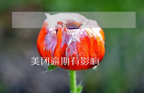 美团逾期有影响 美团逾期有影响