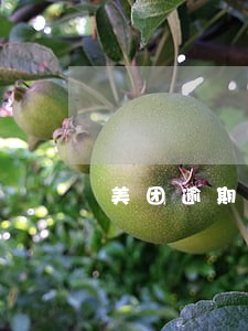 美团逾期有律师 美团逾期有律师