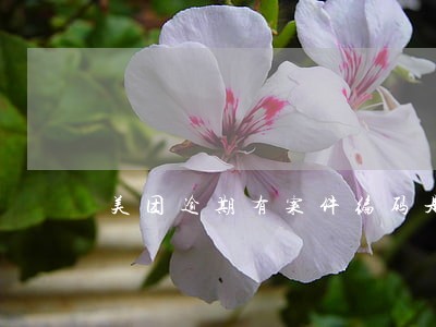 美团逾期有案件编码是真是假 美团逾期有案件编码是真是假