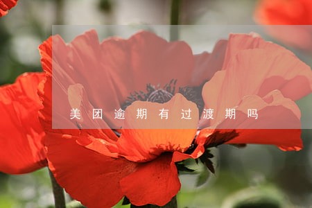 美团逾期有过渡期吗 美团逾期有过渡期吗