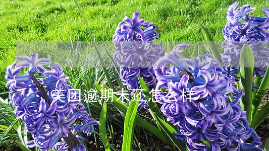 美团逾期未还怎么样