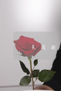 美团逾期本金是怎么算的 美团逾期本金是怎么算的