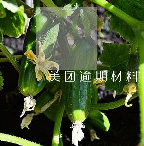 美团逾期材料拦截 美团逾期材料拦截
