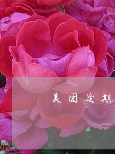 美团逾期村委会联系美团吗 美团逾期村委会联系美团吗