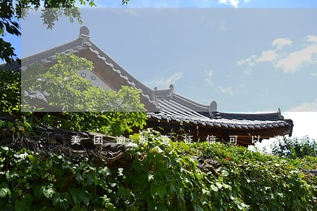 美团逾期查征信可以查到吗 美团逾期查征信可以查到吗
