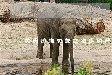 美团逾期欠款二次违约严重吗 美团逾期欠款二次违约严重吗