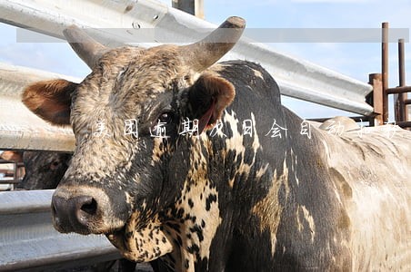 美团逾期次日会自动扣款吗 美团逾期次日会自动扣款吗