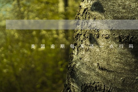美团逾期每天还一点行吗 美团逾期每天还一点行吗