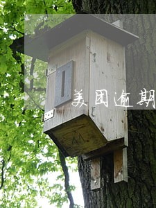 美团逾期每天都打电话吗 美团逾期每天都打电话吗