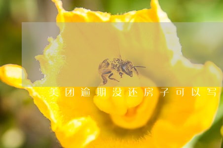 美团逾期没还房子可以写名吗 美团逾期没还房子可以写名吗