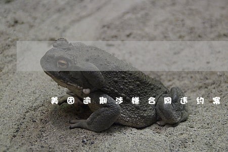 美团逾期涉嫌合同违约案 美团逾期涉嫌合同违约案