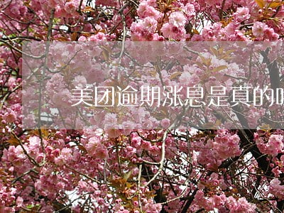 美团逾期涨息是真的吗 美团逾期涨息是真的吗