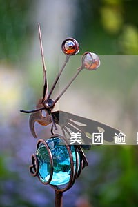 美团逾期照片 美团逾期照片