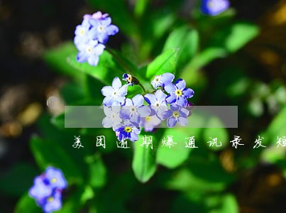 美团逾期爆通讯录发短信 美团逾期爆通讯录发短信
