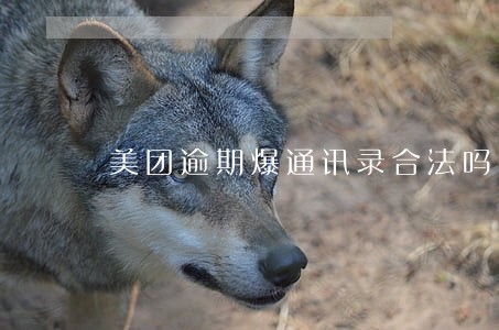 美团逾期爆通讯录合法吗 美团逾期爆通讯录合法吗