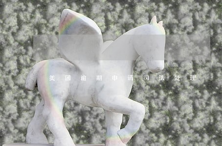 美团逾期申请司法处理